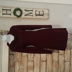 Banana Republic Sweater Dress in Cranberry (Dark Red)
